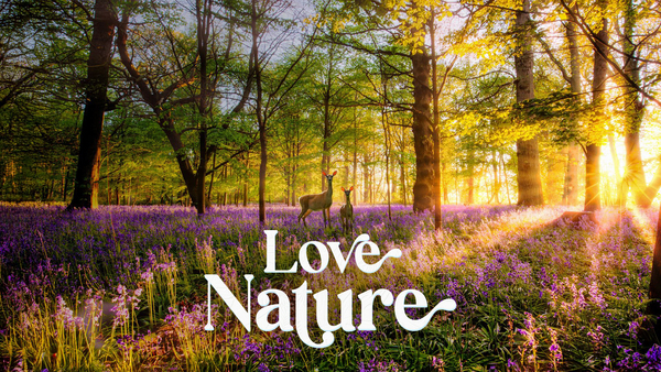 Love Nature