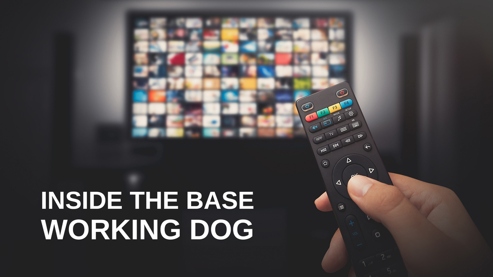 Inside The Base: Working Dog