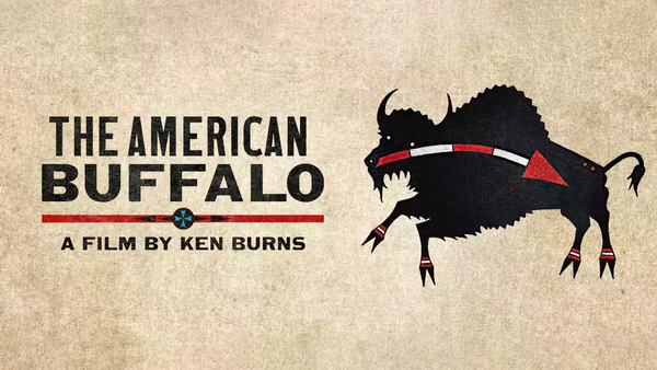 The American Buffalo: a Film By Ken Burns