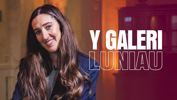 Y Galeri Luniau
