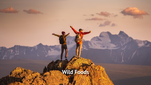 Wild Foods