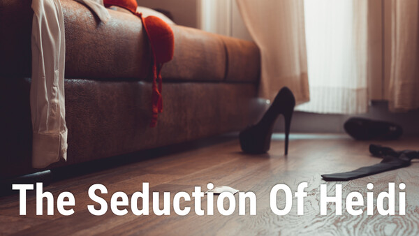 The Seduction Of Heidi