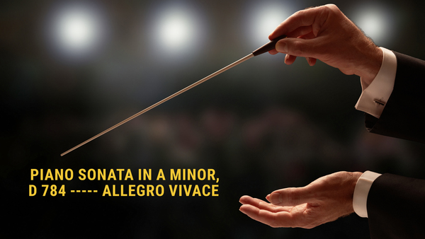 Piano Sonata in A minor, D 784 ----- Allegro vivace