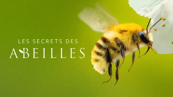 Les secrets des abeilles