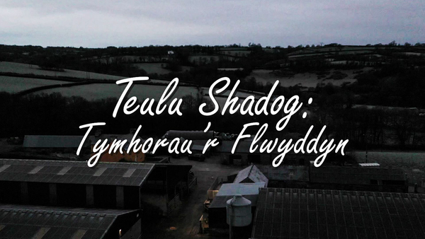 Teulu Shadog: Tymhorau'r Flwyddyn