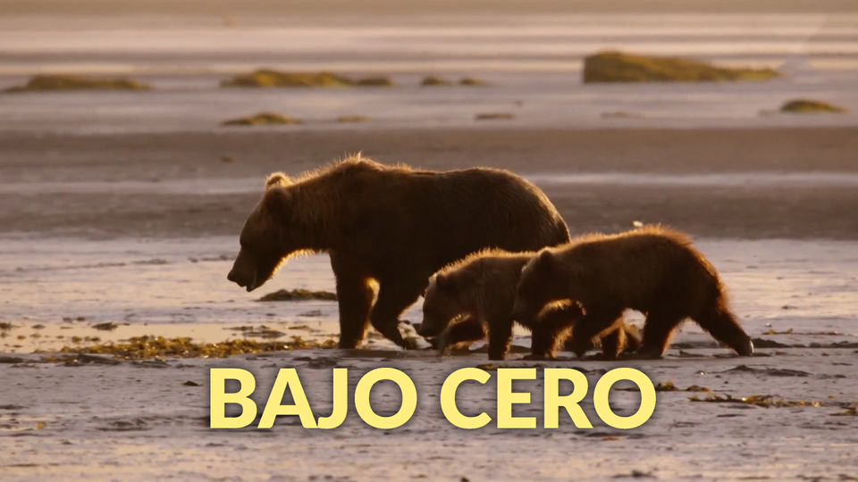 Bajo cero