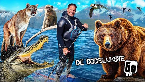 De Dodelijkste 60