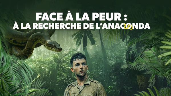 Face à la peur à la recherche de l'anaconda