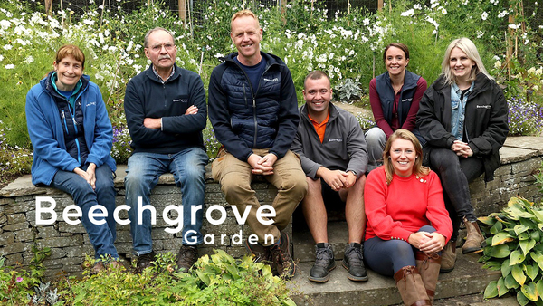 Beechgrove Garden