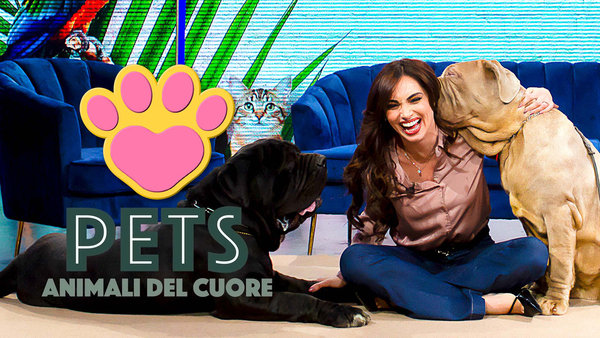 Pets. Animali del cuore