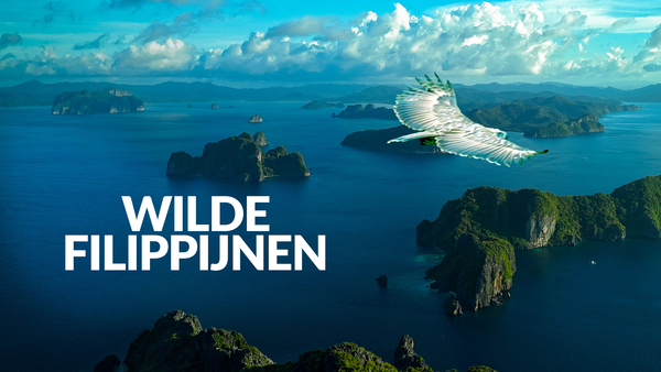 Wilde Filippijnen