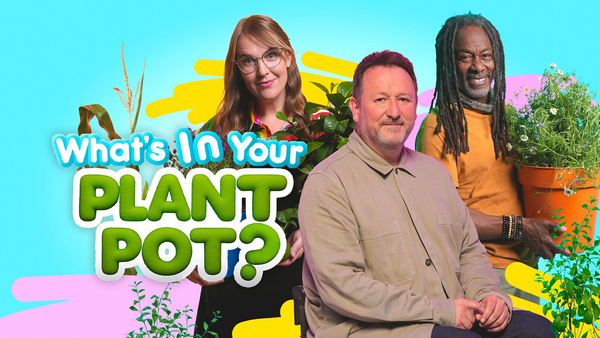 What's in Your Plant Pot?