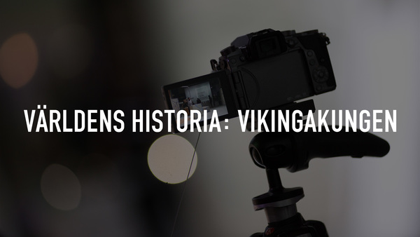 Världens historia: Vikingakungen