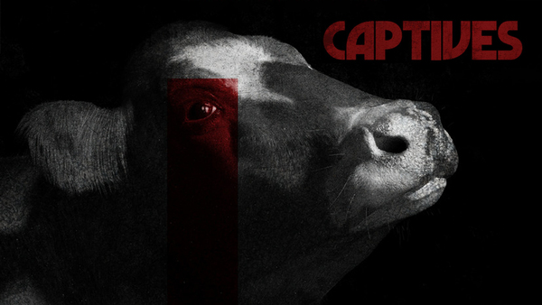 Captives
