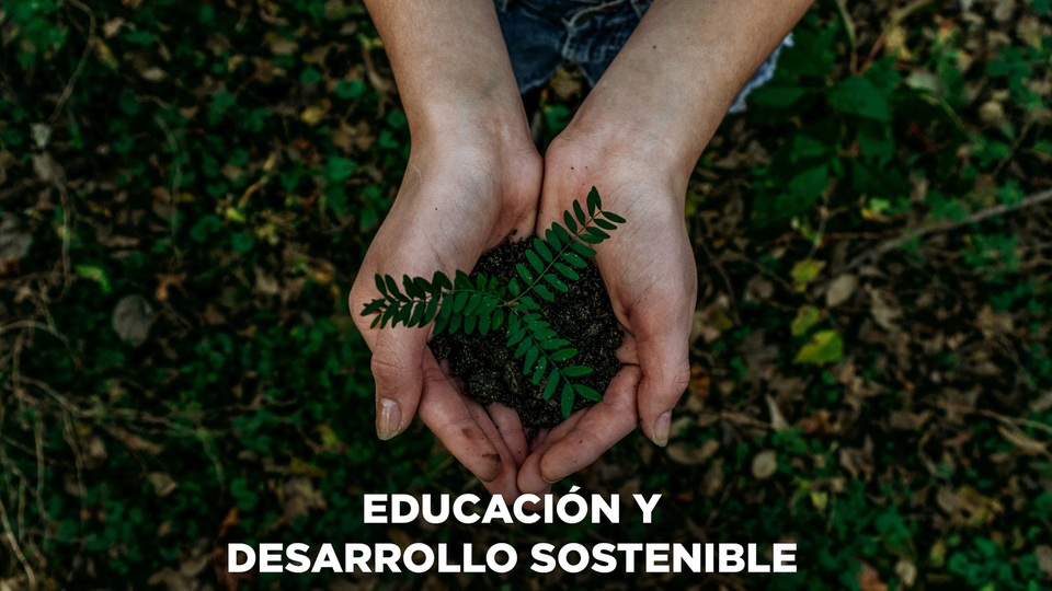 Educación y desarrollo sostenible