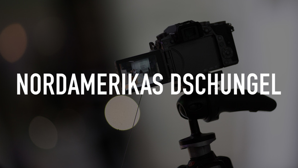 Nordamerikas Dschungel
