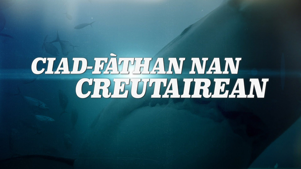 Ciad-fathan nan Creutairean