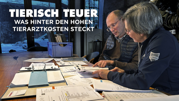 Tierisch teuer - Was hinter den hohen Tierarztkosten steckt