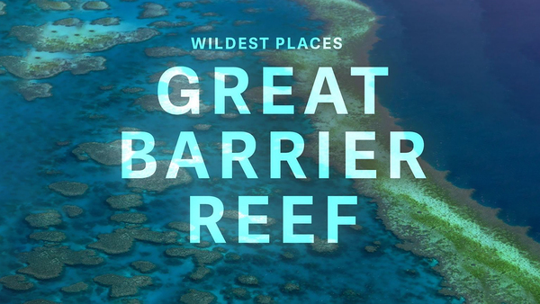 Wildest Places: Great Barrier Reef