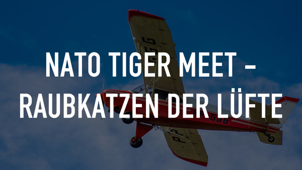 NATO TIGER MEET - Raubkatzen der Lüfte