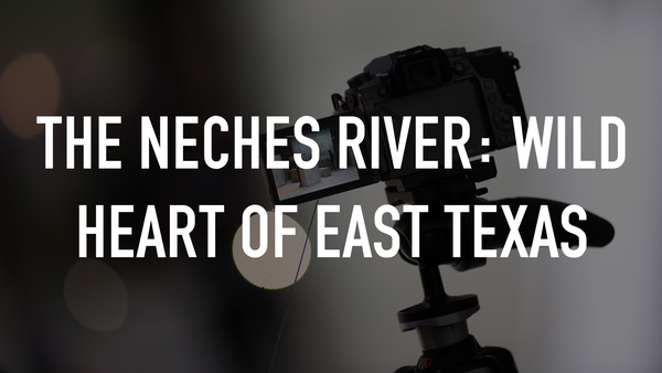 The Neches River: Wild Heart of East Texas