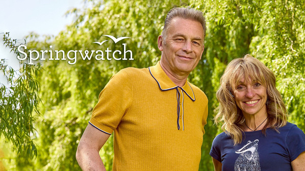 Springwatch