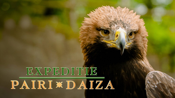 Expeditie Pairi Daiza
