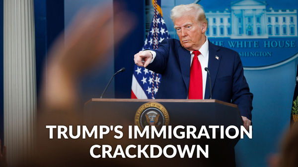 Trump's Immigration Crackdown