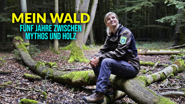 Mein Wald - Fünf Jahre zwischen Mythos und Holz