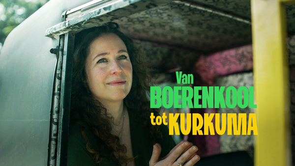 Van boerenkool tot kurkuma