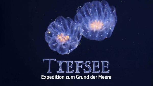 Faszination Tiefsee - Expedition zum Grund der Meere