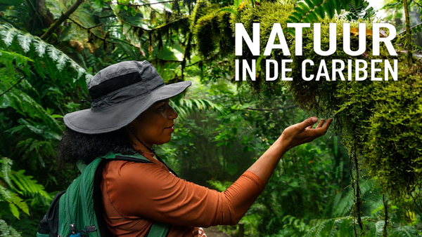Natuur in de Cariben