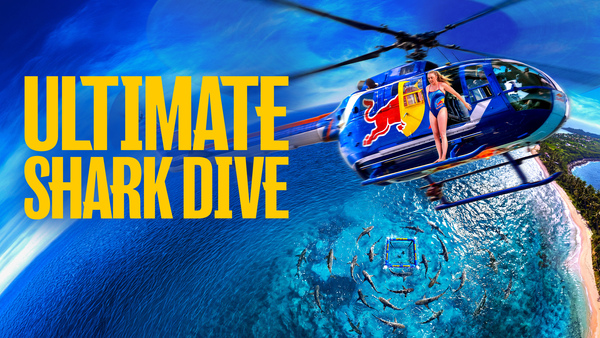 Ultimate Shark Dive