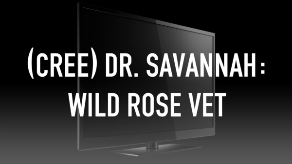 (Cree) Dr. Savannah: Wild Rose Vet