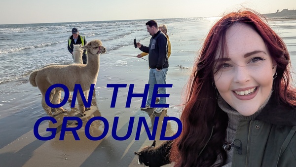 On The Ground