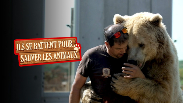 Ils se battent pour sauver les animaux