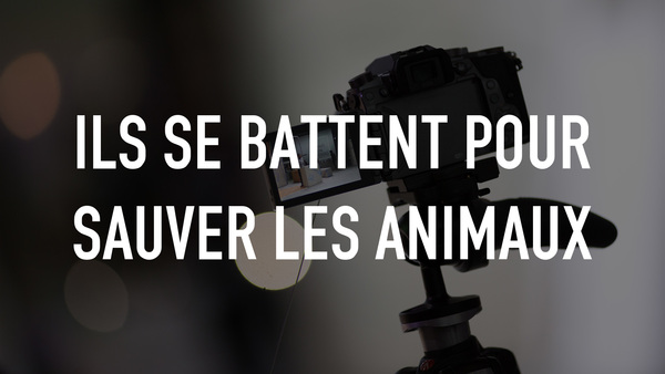 Ils se battent pour sauver les animaux