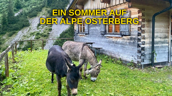 Ein Sommer auf der Alpe Osterberg