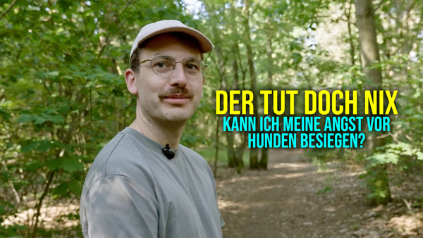 Der tut doch nix - Kann ich meine Angst vor Hunden besiegen?