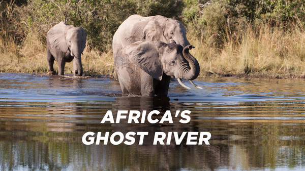 Africa's Ghost River