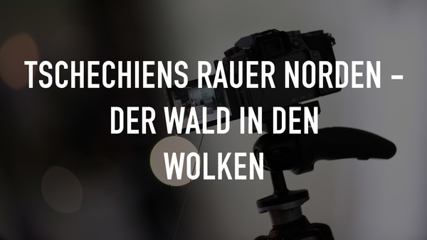 Tschechiens rauer Norden - Der Wald in den Wolken