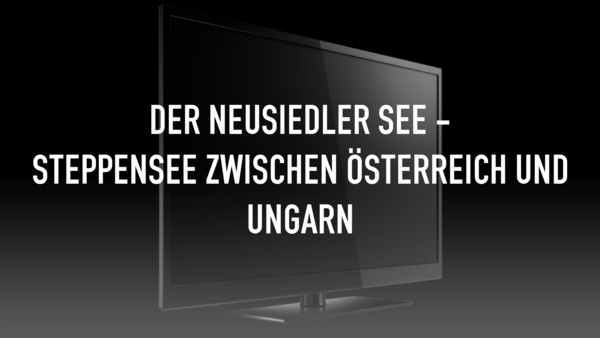 Der Neusiedler See - Steppensee zwischen Österreich und Ungarn