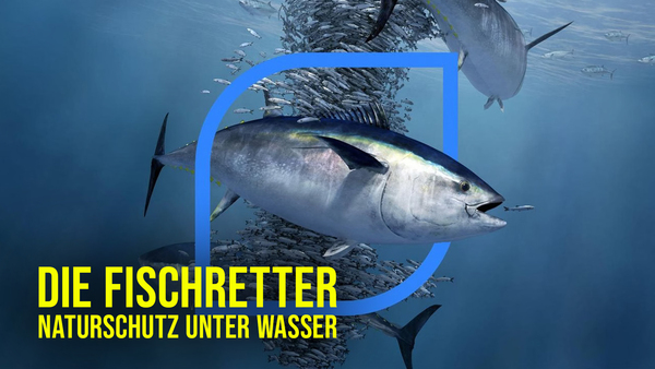 Die Fischretter - Naturschutz unter Wasser