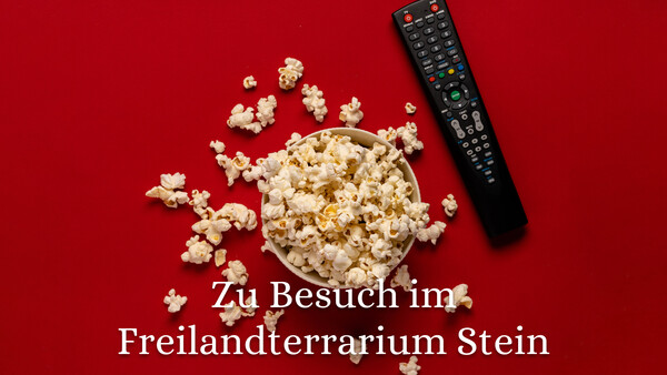 Zu Besuch im Freilandterrarium Stein