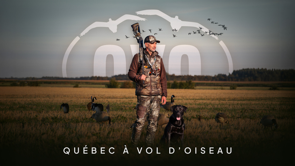 Québec à vol d'oiseau