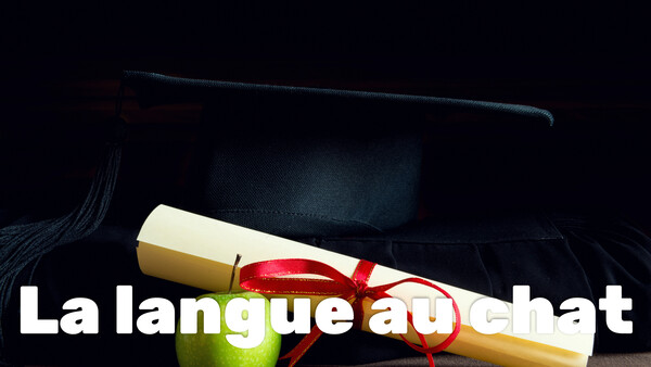 La langue au chat
