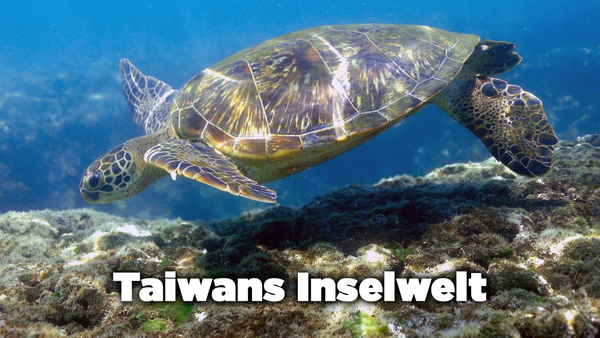 Taiwans Inselwelt