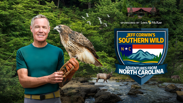 Jeff Corwin: Southern Wild