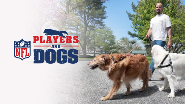 NFL Players & Dogs: Life Off the Field