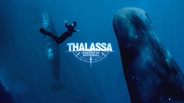 Thalassa, aventures extrêmes